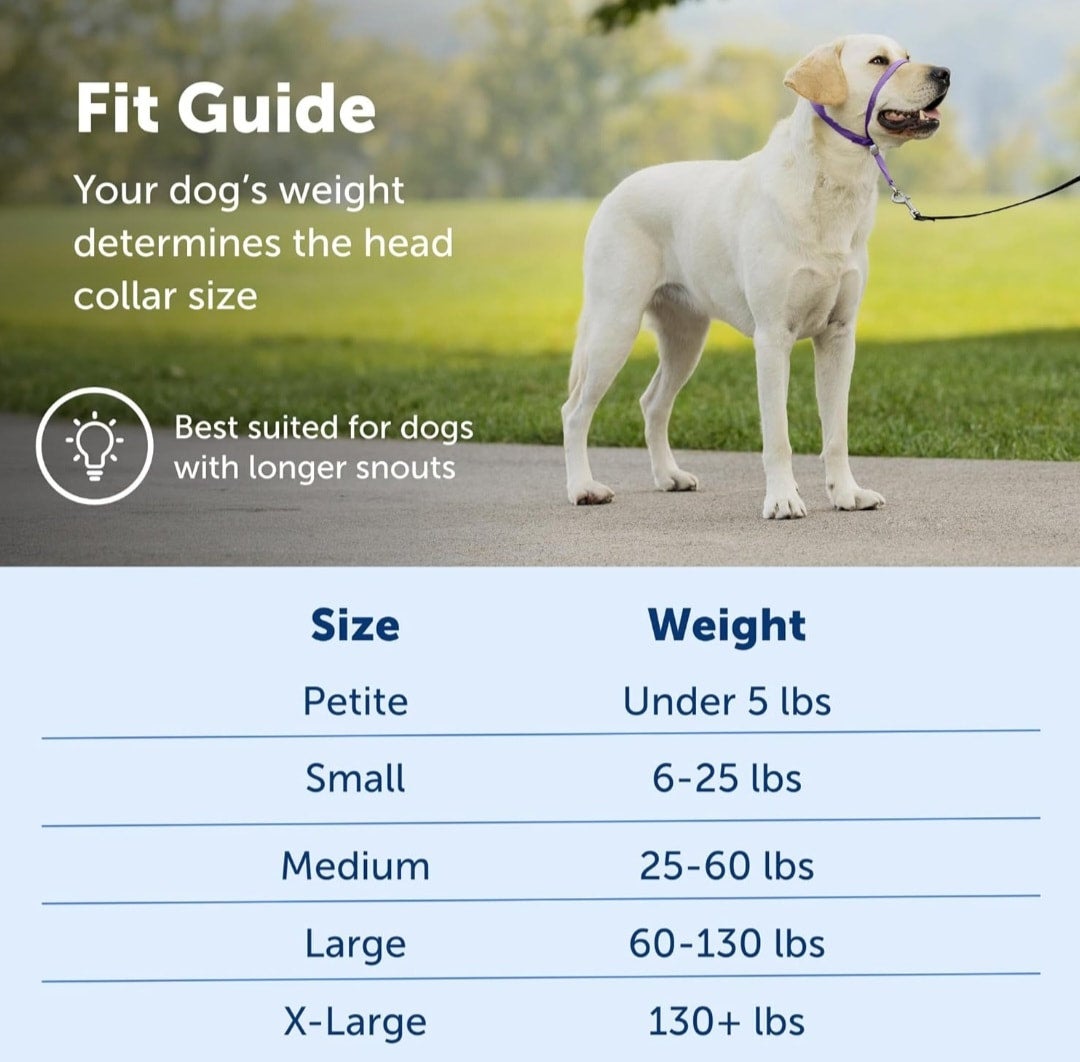 Gentle leader size chart clearance